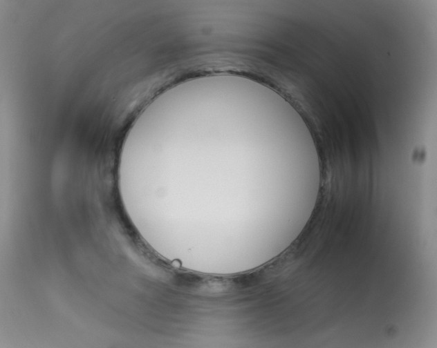 X0000114010402200910020957