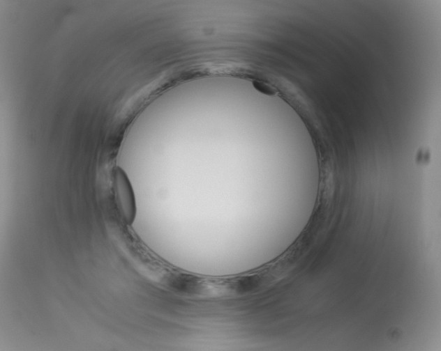 X0000114010405200910020957