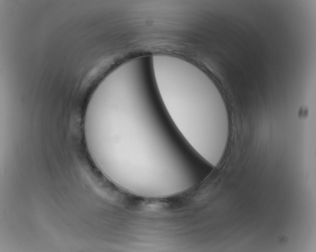 X0000114010407200910020957
