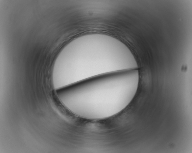 X0000114010408200910020957