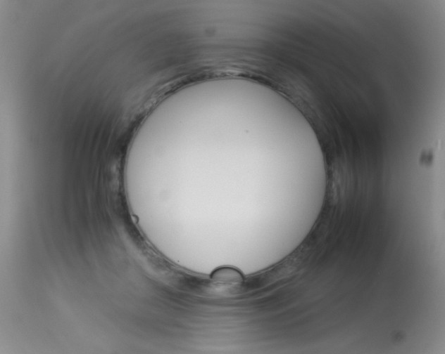 X0000114010410200910020957
