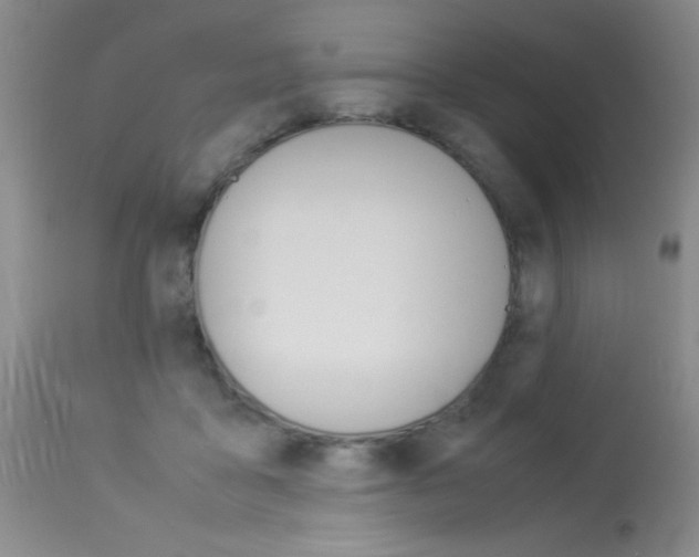 X0000114010411200910020957