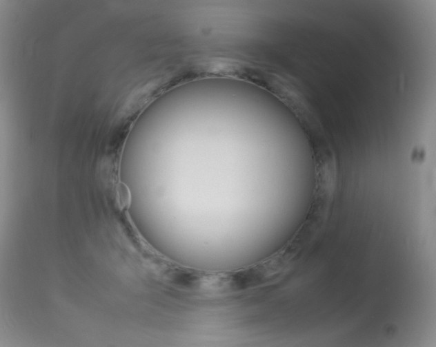 X0000114010415200910020957