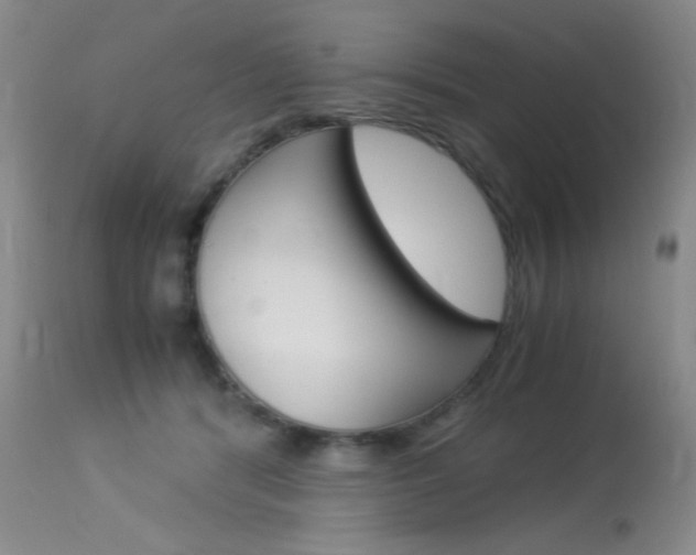 X0000114010416200910020957