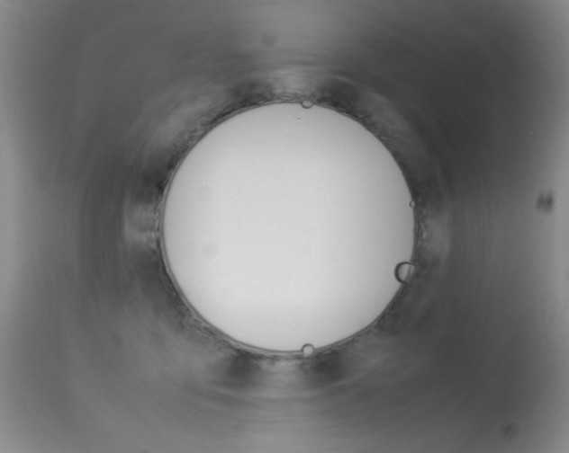 X0000114010419200910020957