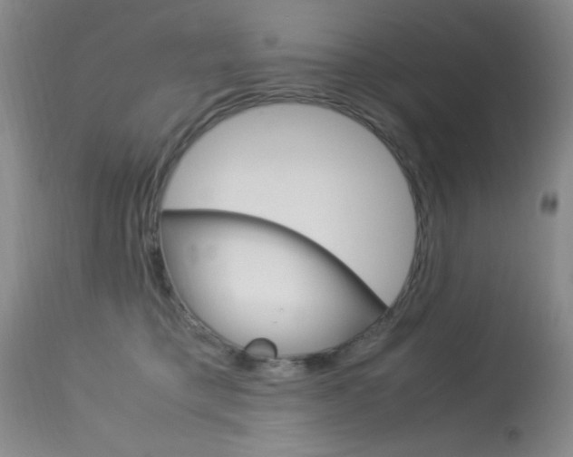 X0000114010421200910020957