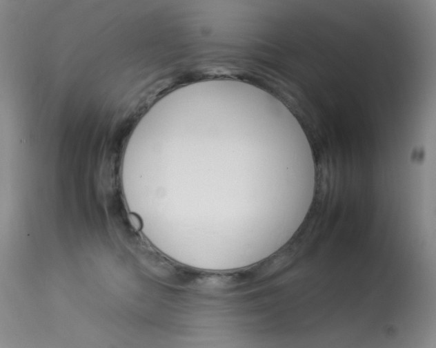 X0000114010422200910020957