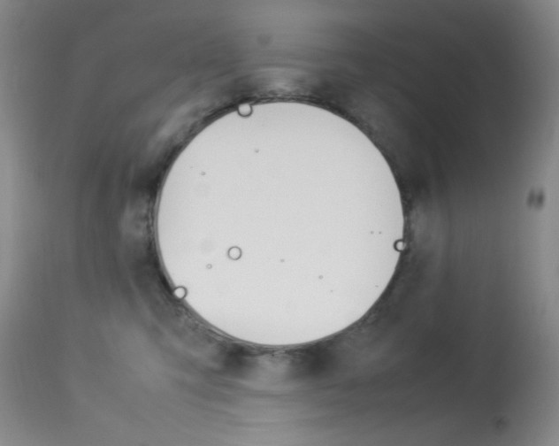 X0000114010423200910020957