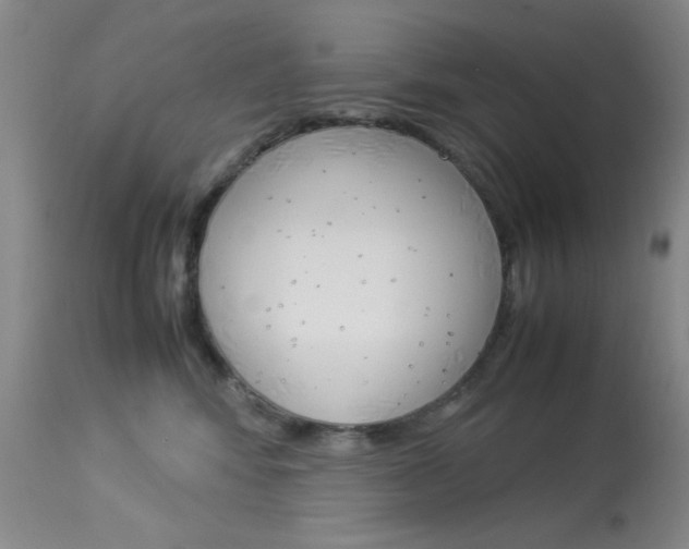 X0000114010424200910020957