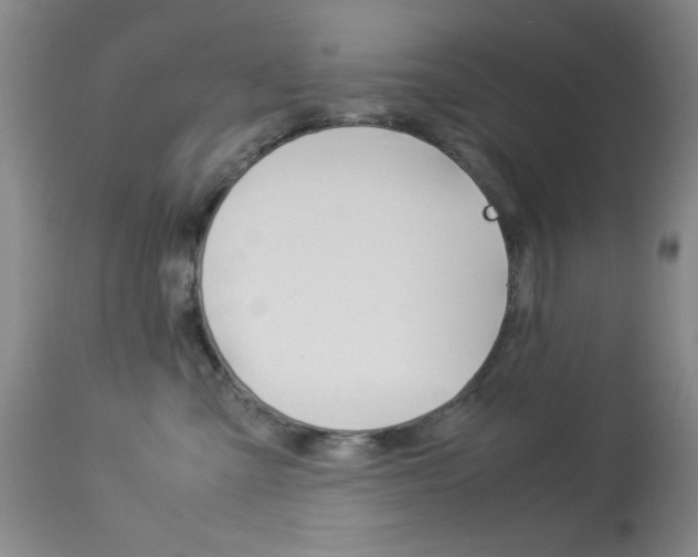 X0000114010427200910020957