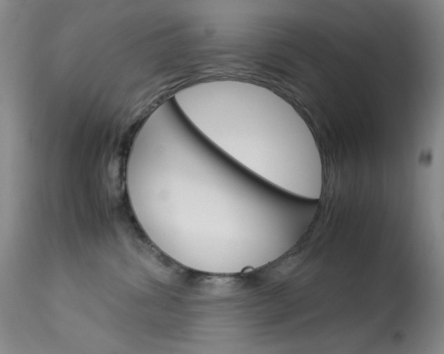X0000114010428200910020957