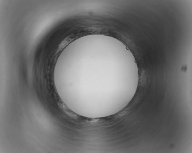 X0000114010430200910020957