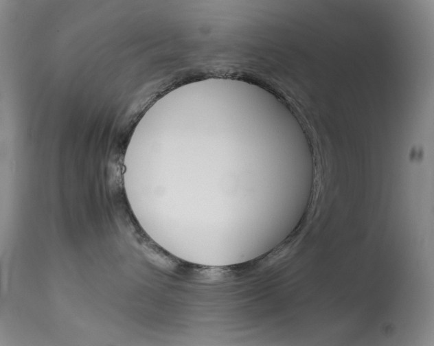 X0000114010432200910020957