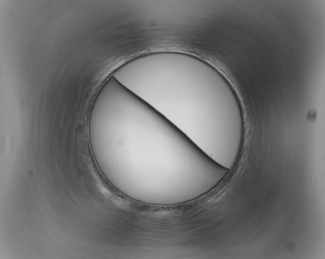 X0000114010433200910020956