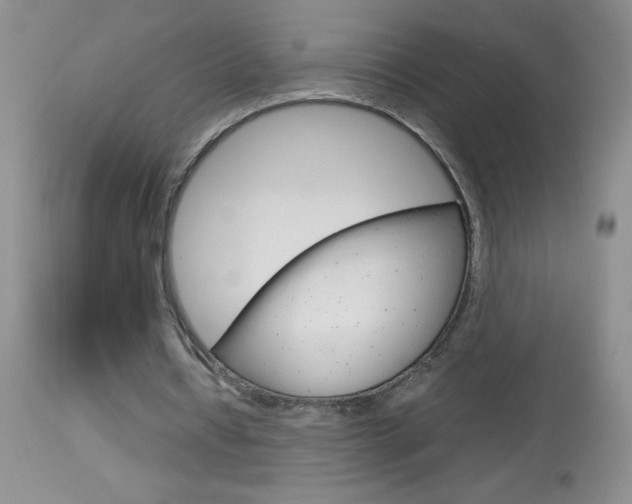 X0000114010434200910020956