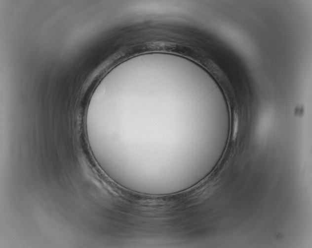 X0000114010435200910020956