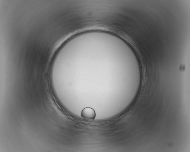 X0000114010436200910020956