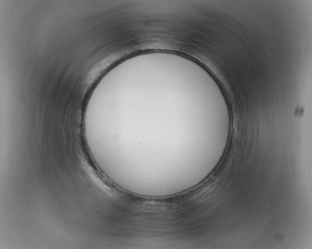 X0000114010437200910020956