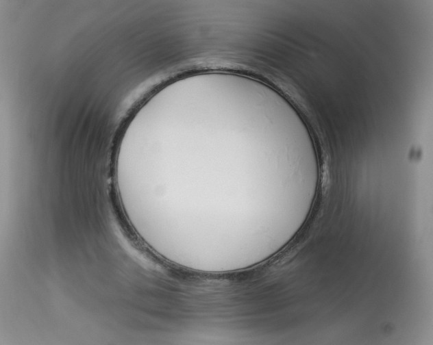 X0000114010438200910020956