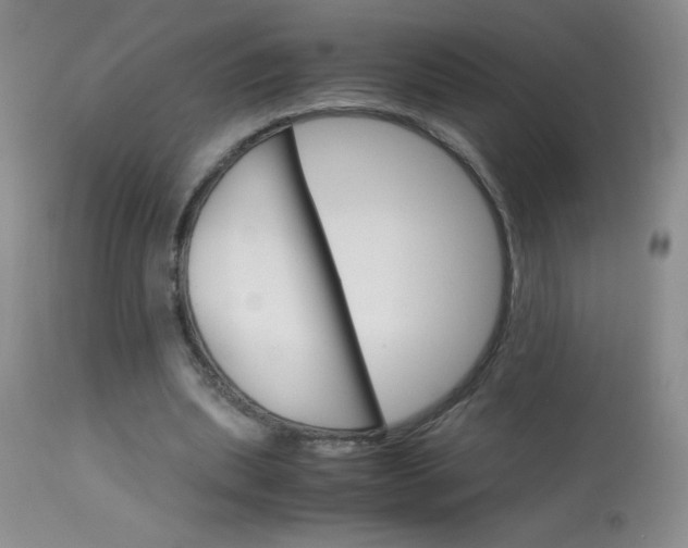 X0000114010439200910020956
