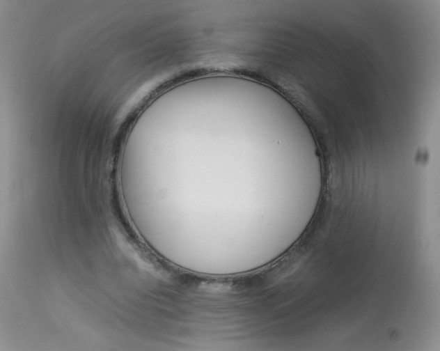 X0000114010440200910020956