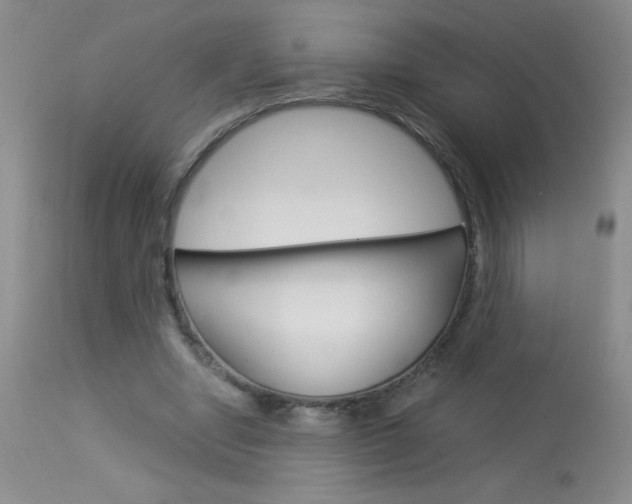 X0000114010442200910020956