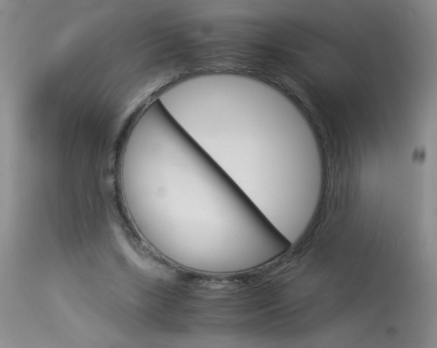 X0000114010443200910020956