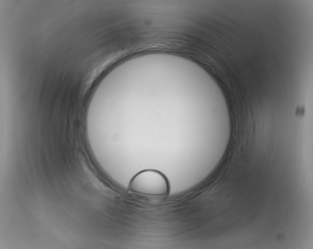 X0000114010444200910020956