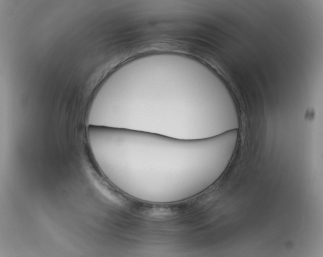 X0000114010445200910020956