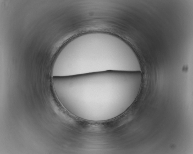 X0000114010446200910020956