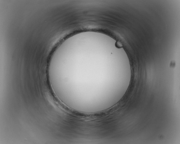 X0000114010447200910020956