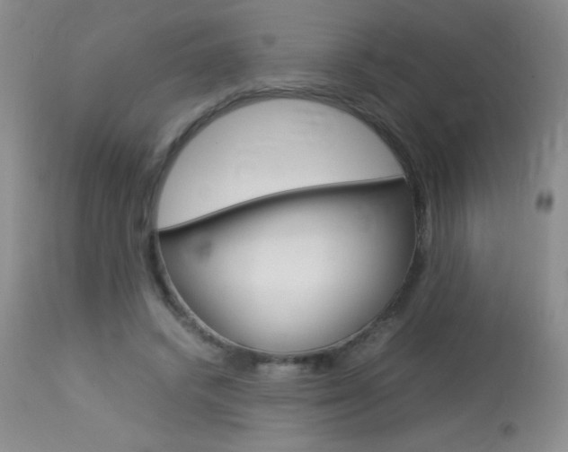 X0000114010448200910020956