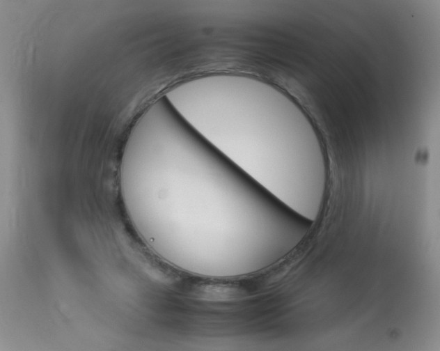 X0000114010449200910020956