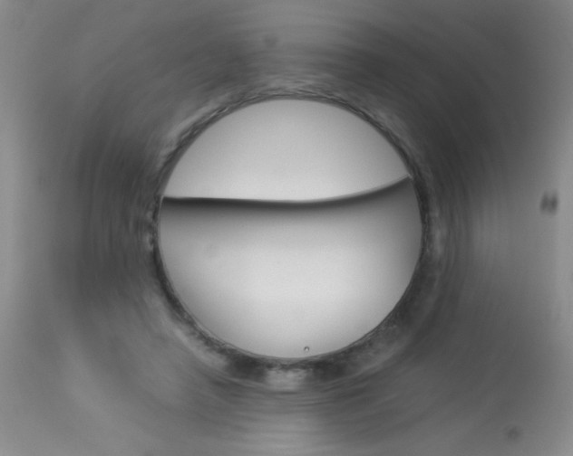 X0000114010450200910020956
