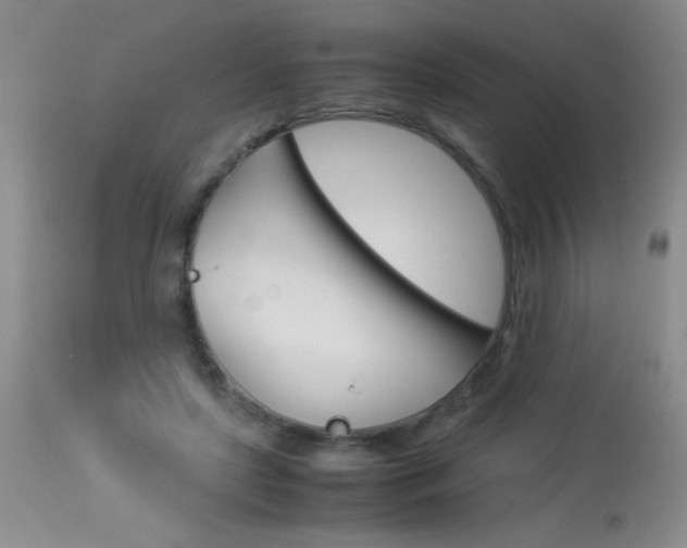 X0000114010451200910020956