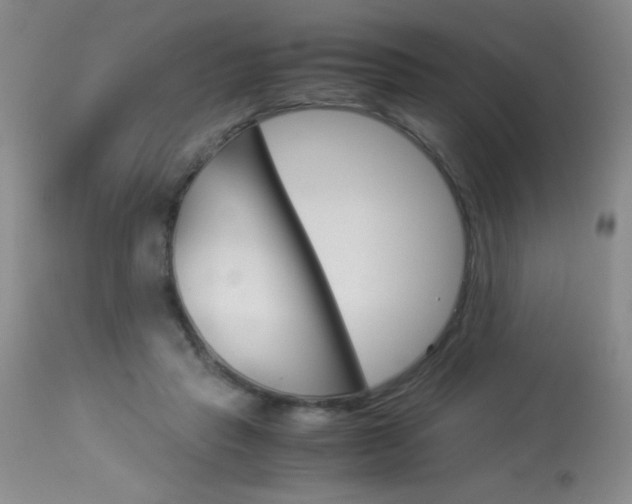 X0000114010453200910020956