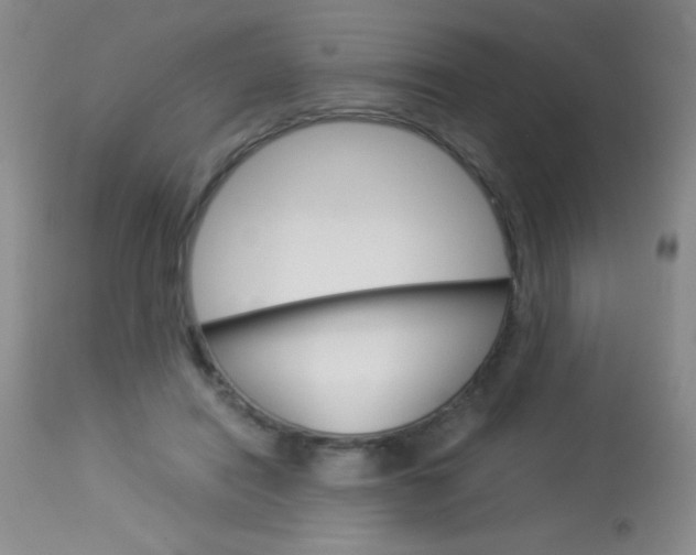 X0000114010454200910020956