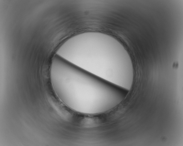 X0000114010455200910020956