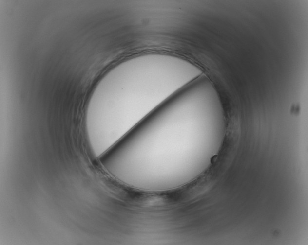 X0000114010456200910020956