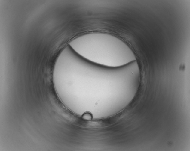 X0000114010457200910020956