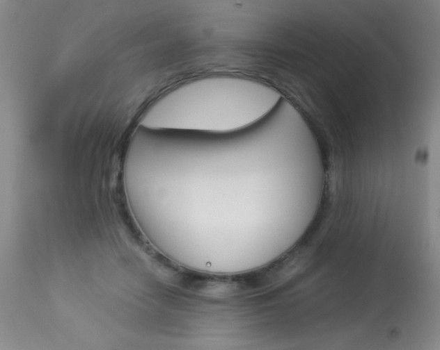 X0000114010458200910020956