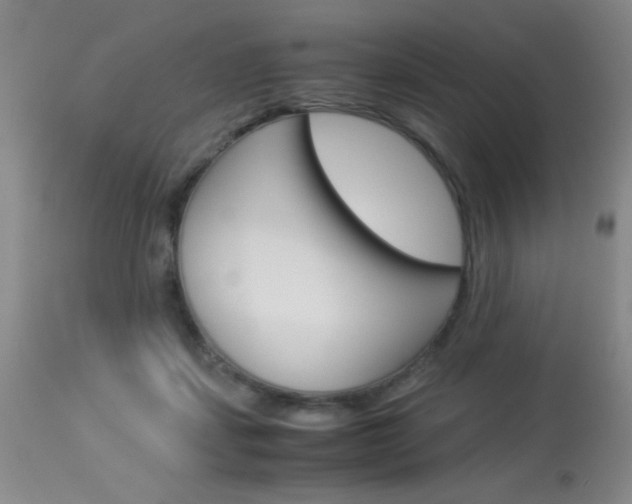 X0000114010459200910020956