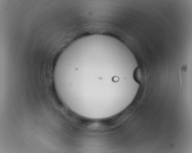 X0000114010460200910020956