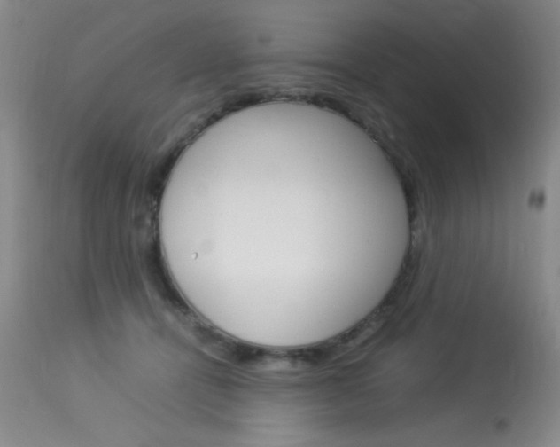 X0000114010464200910020956