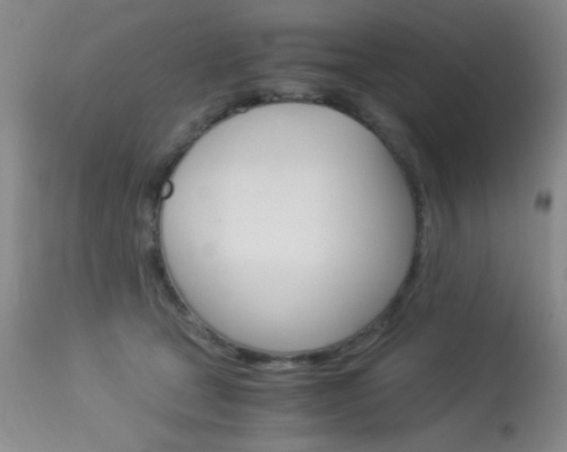 X0000114010465200910020956
