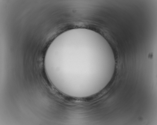 X0000114010466200910020956