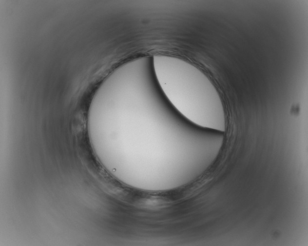 X0000114010467200910020956