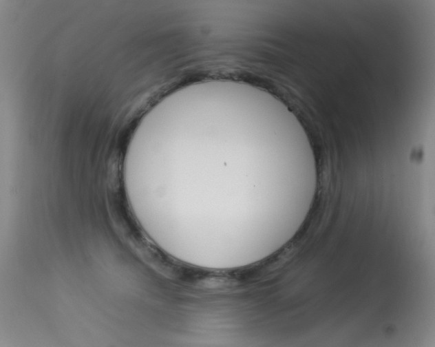X0000114010468200910020956