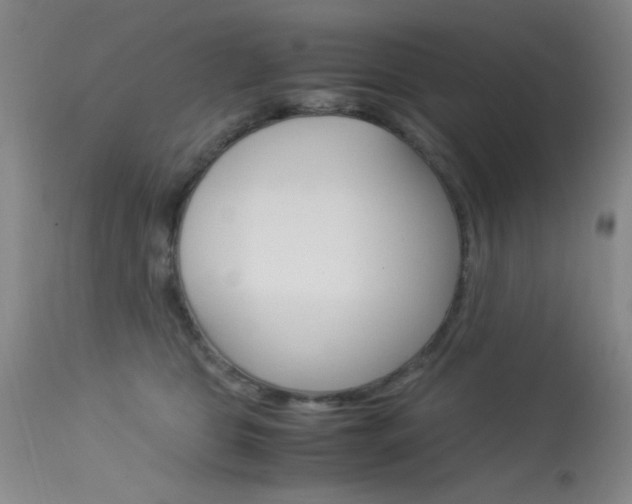 X0000114010469200910020956