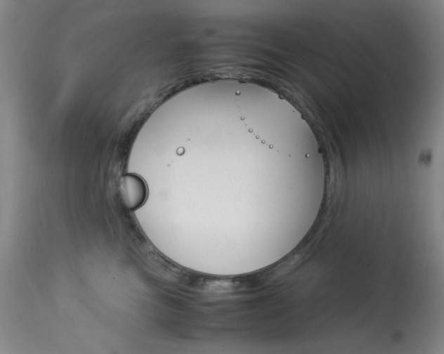 X0000114010473200910020956